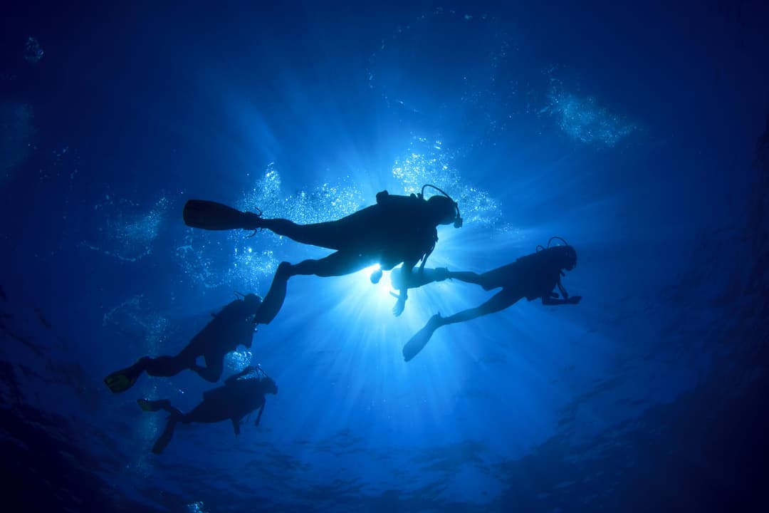 Cozumel, the must-visit island in Mexico