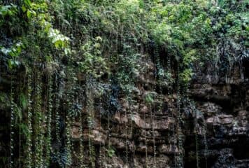 Interior cenote xcajum