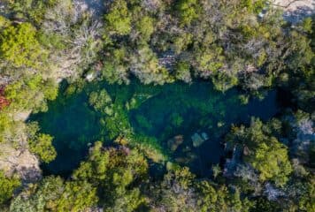 El cenote Jardín del Edén