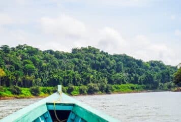 Viaje por Selva lacandona
