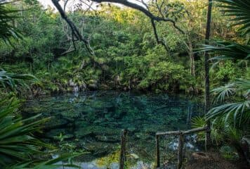 Tankah panorámica cenote