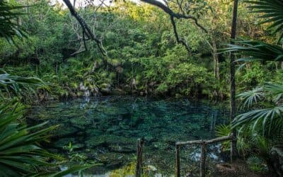 Tankah panorámica cenote