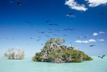 Punta Allen, el pueblo escondido